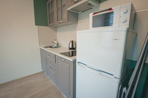 Studio (2) | Private kitchen | Fridge, microwave, stovetop, electric kettle - Okoshki Apart-Hotel (St. Petersburg)