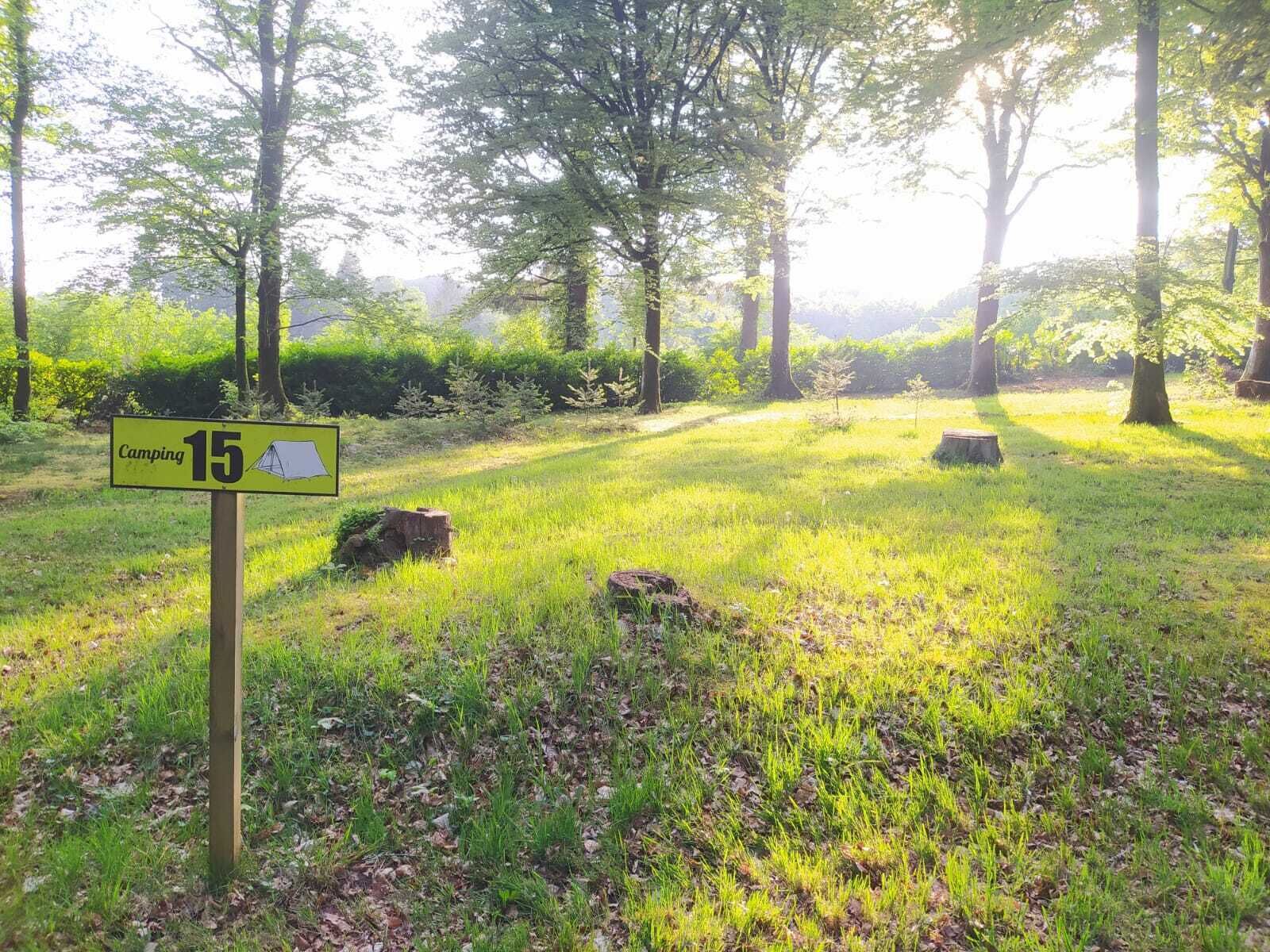A camping area with a sign indicating a campsite number 15.
