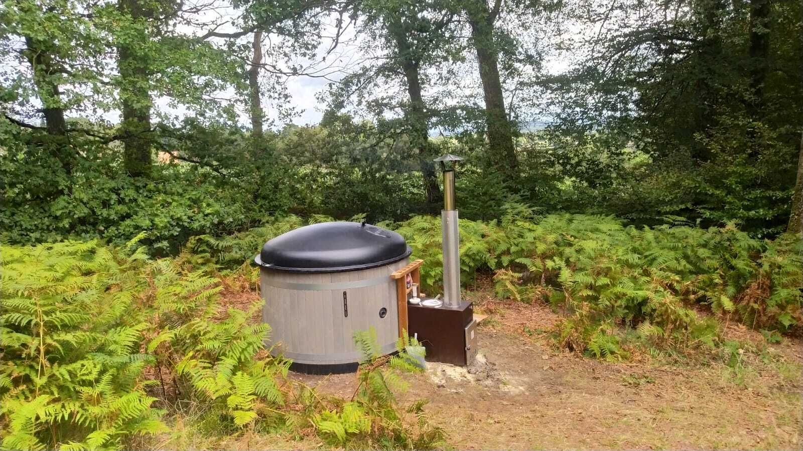 A cylindrical structure with a black top, possibly a sauna or hot tub, surrounded by dense ferns and trees in a natural setting.