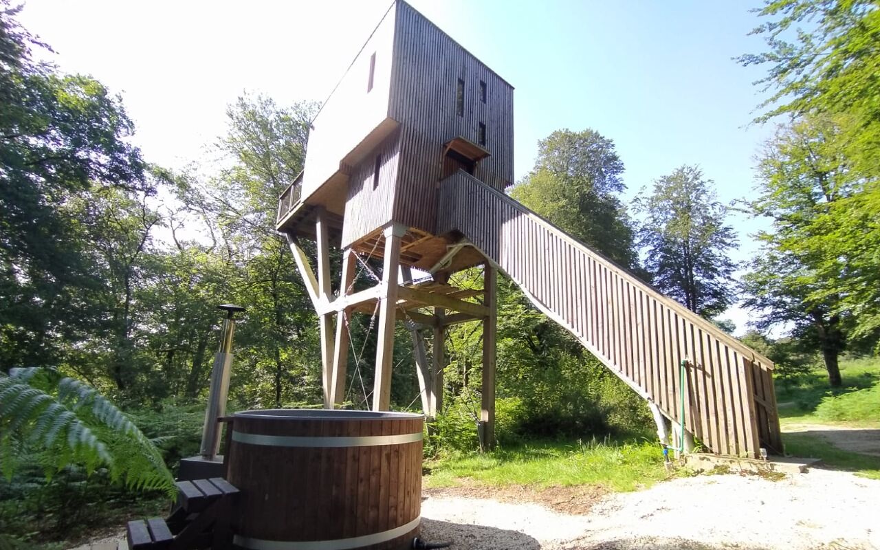 Eine Holzkonstruktion mit einer Treppe, die zu einer Plattform führt, umgeben von Grünpflanzen.