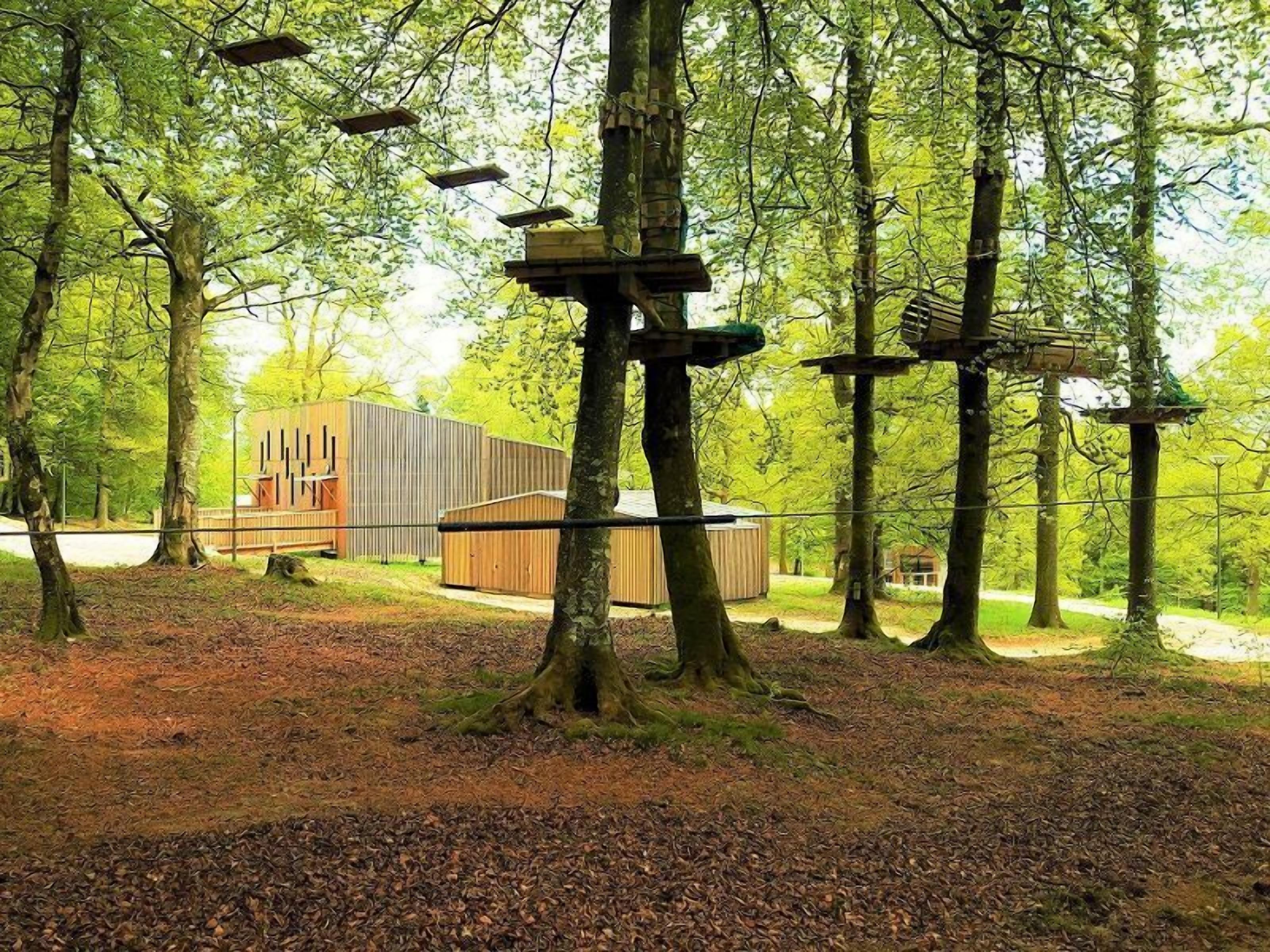 A forested area with a modern building and a wooden structure with platforms.