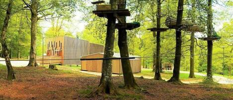 A forested area with a modern building and a wooden structure with platforms.