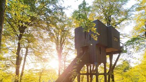 A treehouse with a wooden staircase, surrounded by trees and sunlight. - Etape en forêt (Noues de Sienne)