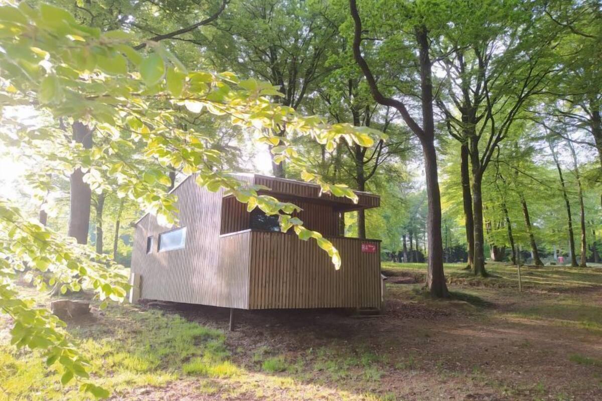 A small wooden cabin with a sloped roof, surrounded by trees in a wooded area.