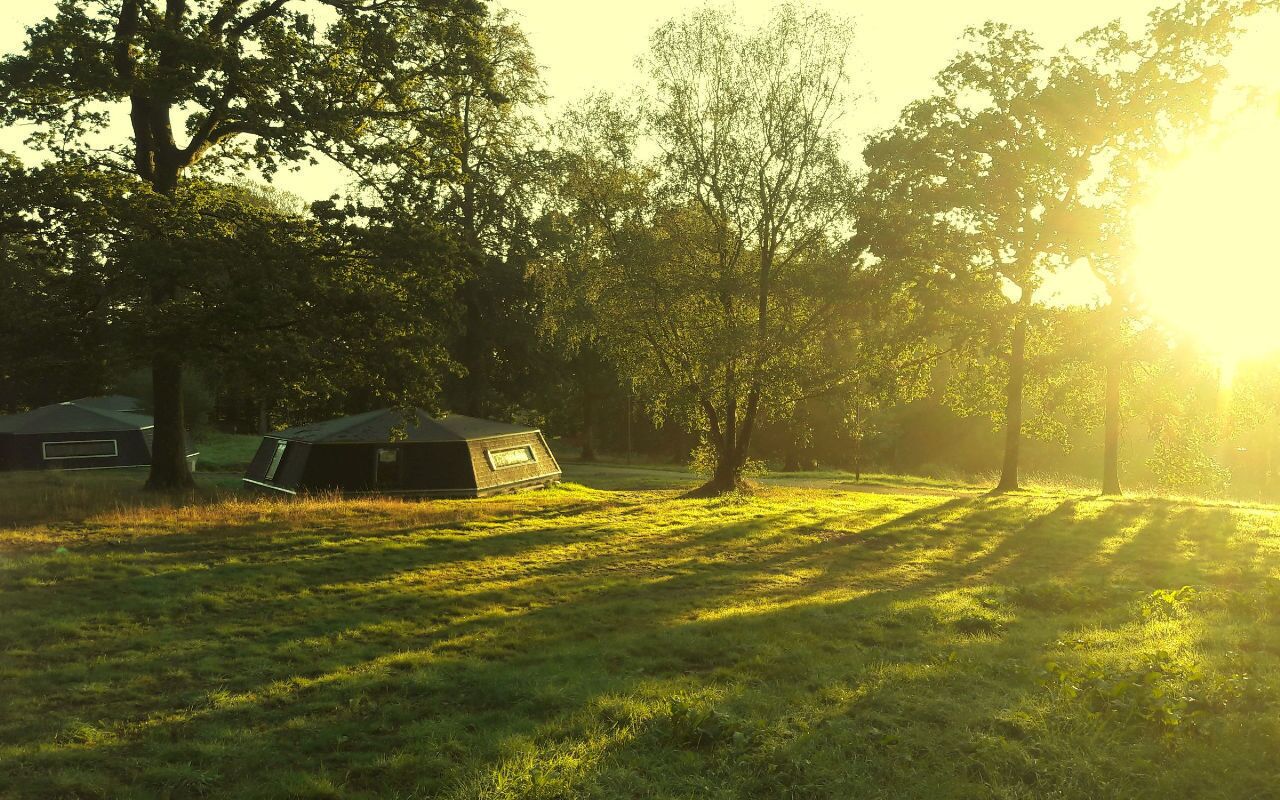 A campsite with tents and trees, surrounded by grass.