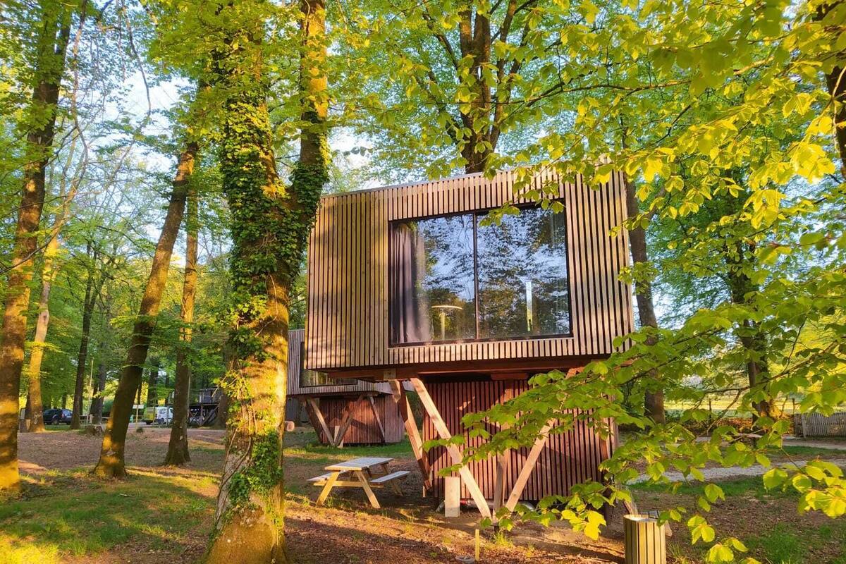 A wooden cabin with a large window, surrounded by trees in a forest setting.