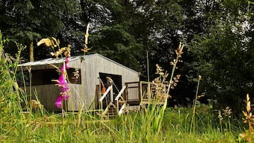 Une construction rustique en bois, dotée d’un toit en pente, entourée d’herbes hautes et de fleurs sauvages.