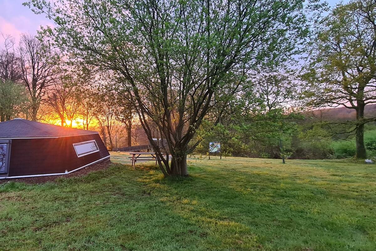 A geodesic dome structure in a grassy area with trees and a sunset in the background.