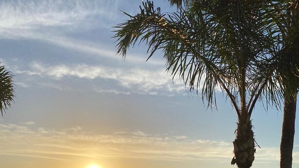 Een zonsondergang uitzicht over een strand met palmbomen, een steiger en een gazon met stoelen.
