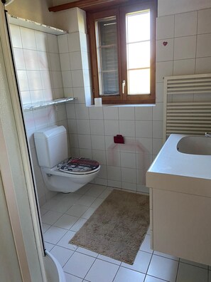 Dusche, Regendusche, Haartrockner, Handtücher