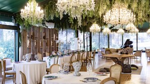 Un espace repas avec des tables rondes, des chaises et des plantes suspendues.