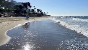 Uma praia com uma pessoa passeando um cão, um calçadão de madeira e um edifício ao fundo.