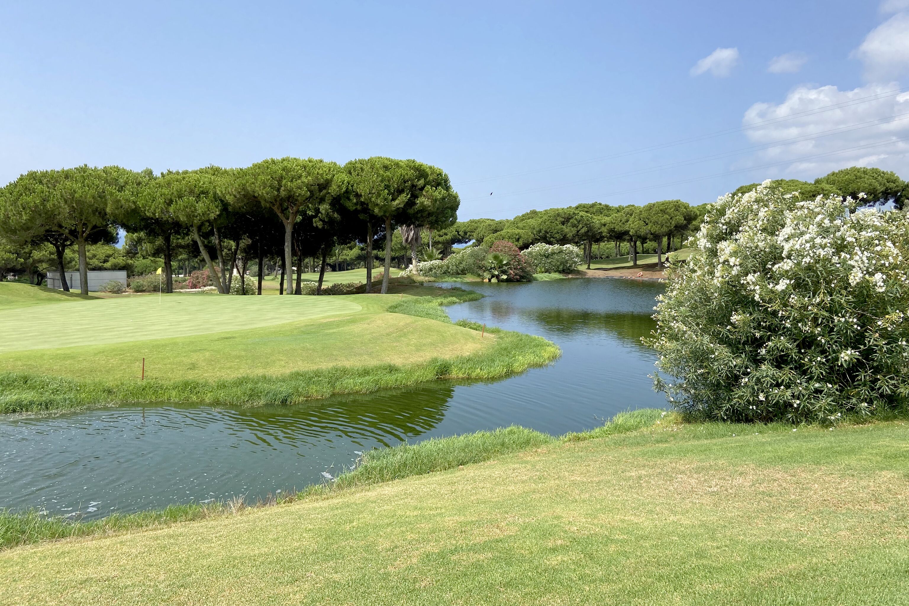 Een golfbaan met een vijver, bomen en een heldere lucht.