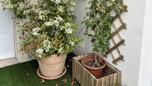 Ein Garten mit Kübelpflanzen, einer Holzrankhilfe und einer weißen Wand.