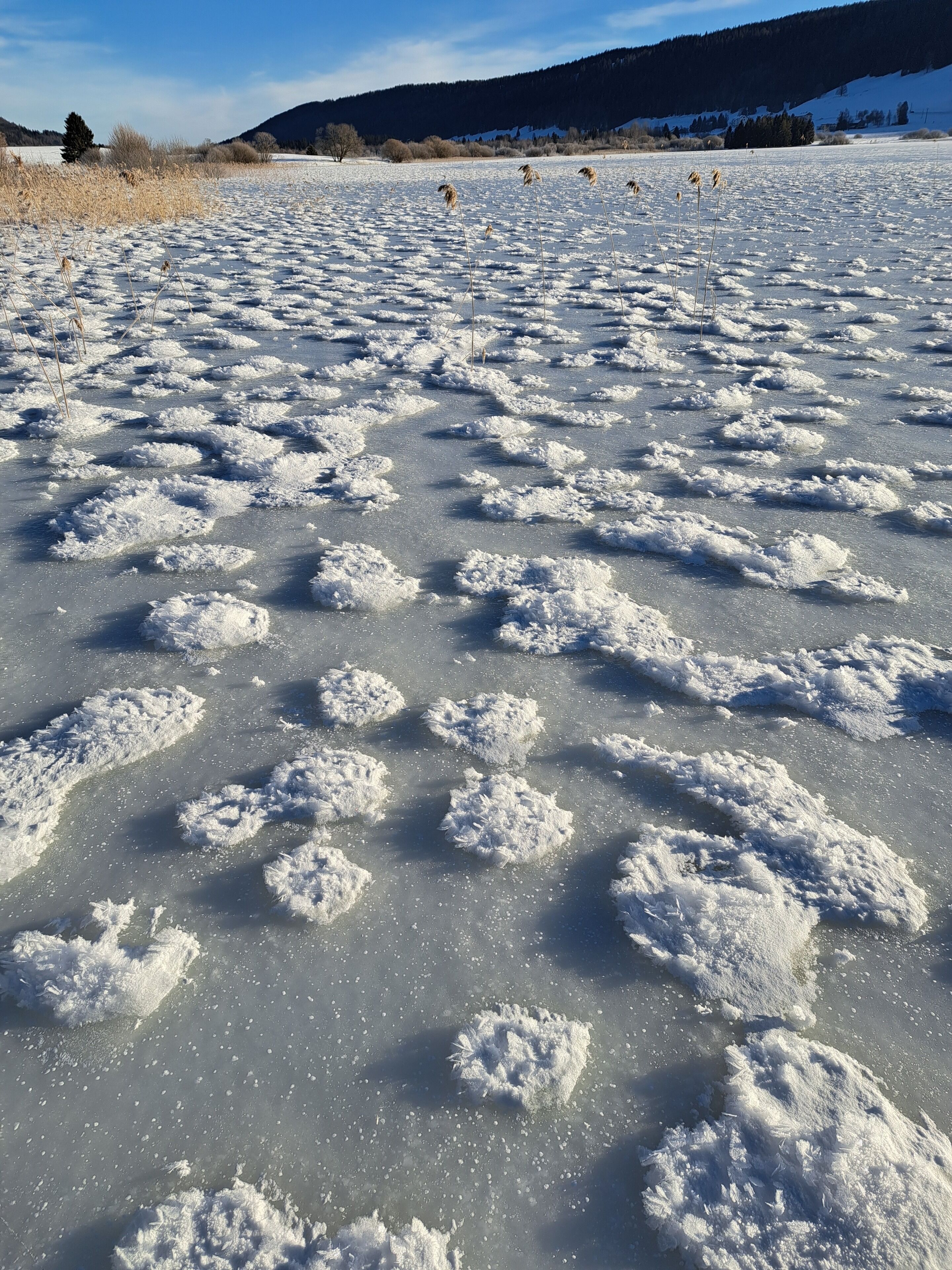 Un campo helado con dibujos de nieve y árboles distantes.