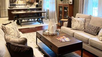 TV connectée, cheminée, livres, médiathèque