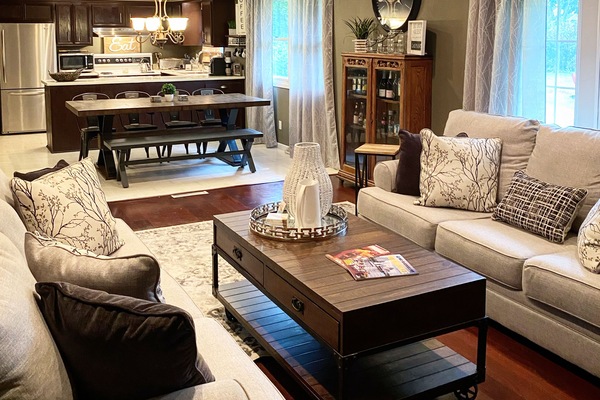 Televisor intel·ligent, llar de foc, llibres i biblioteca musical