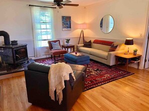 TV, fireplace, books