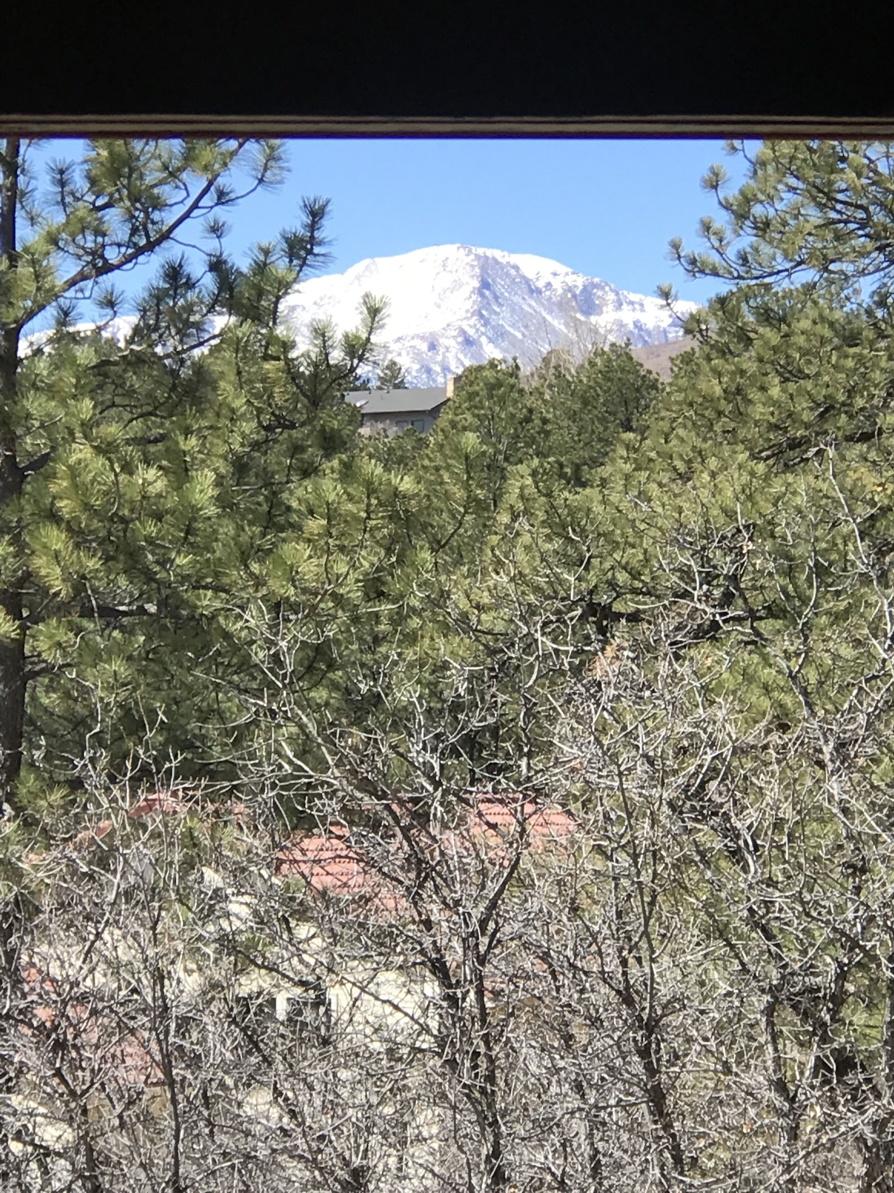 Una montaña con cumbre nevada, rodeada de árboles verdes y un edificio con techo rojo.