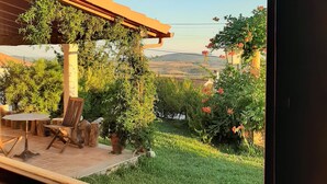 Interior - Casal da Serra (Penha Garcia)