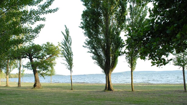 A grassy park area with trees and a view of a body of water. - MONIC83 Gechetto Studio at Lake Bracciano - Trevignano  (trevignano romano)