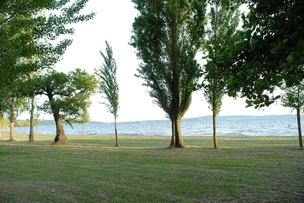 Beach nearby, sun loungers - MONIC83 Gechetto Studio at Lake Bracciano - Trevignano (trevignano romano)