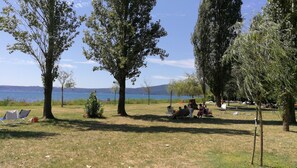 Property grounds - MONIC83 Gechetto Studio at Lake Bracciano - Trevignano (trevignano romano)