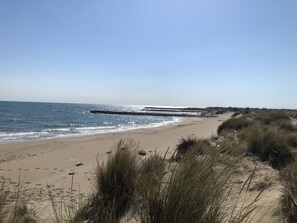 Playa