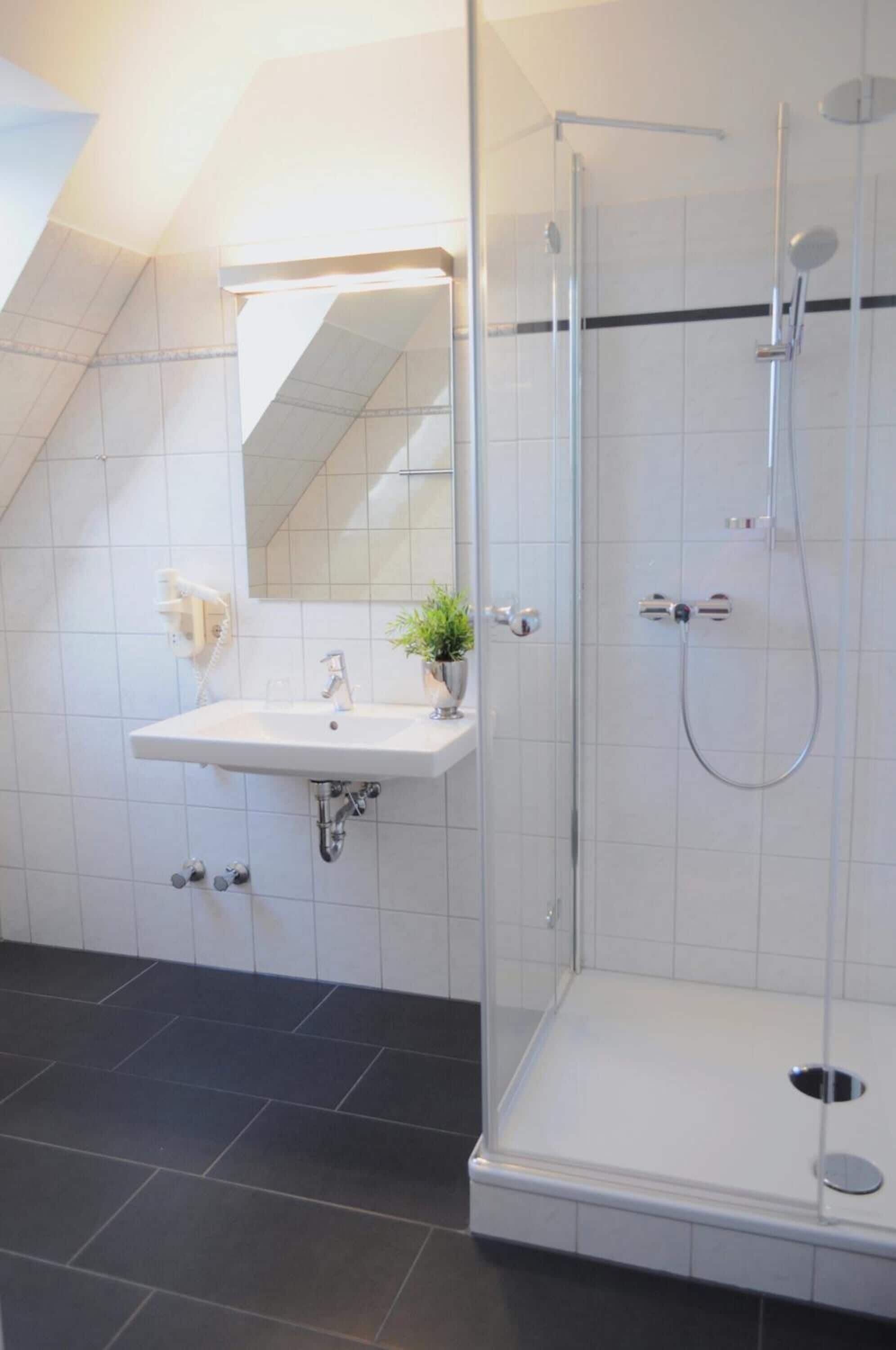 Une salle de bain moderne avec une douche à parois de verre, un lavabo blanc avec un miroir au-dessus, et une petite plante en pot posée sur le lavabo.