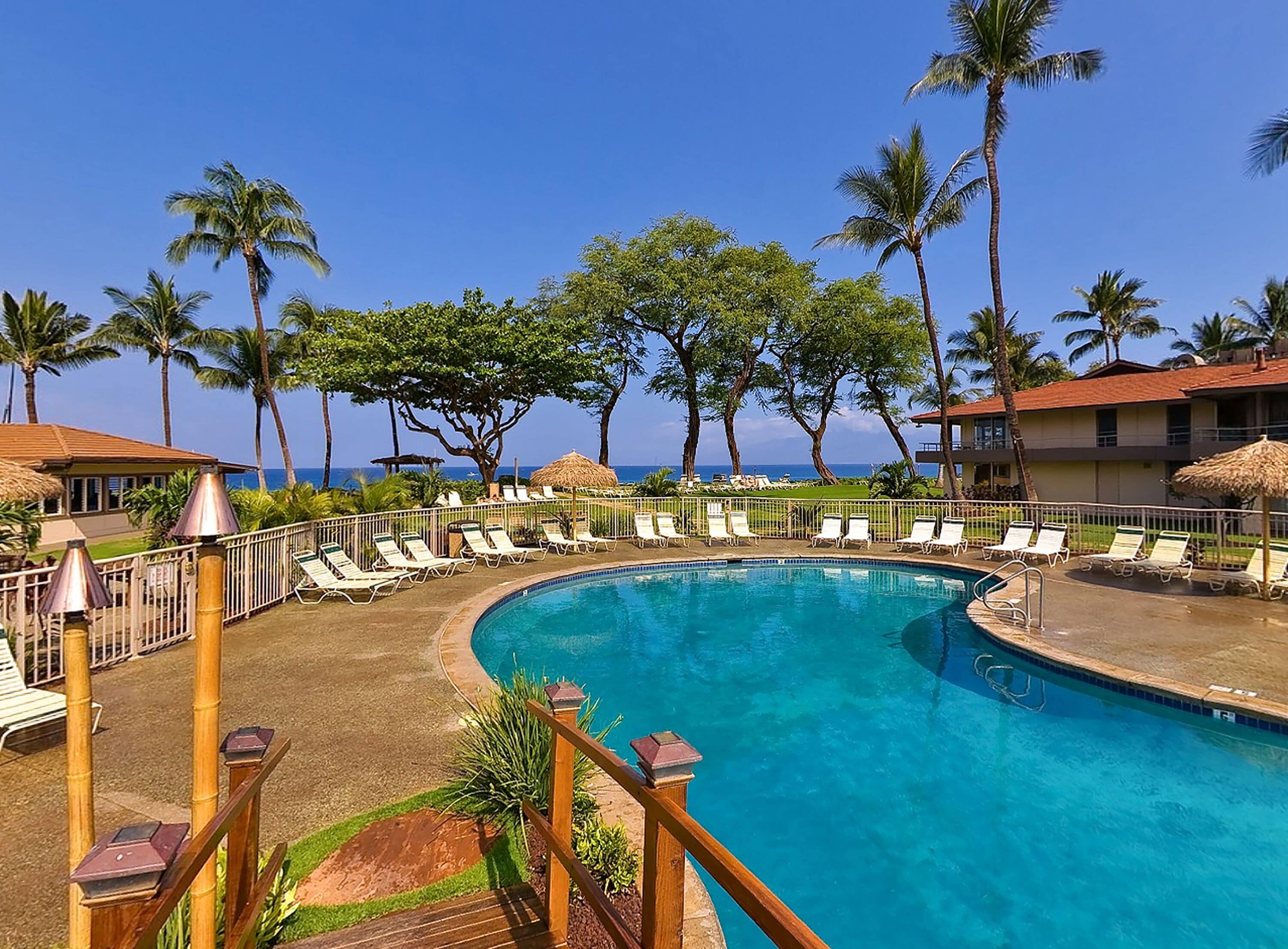 A pool area with lounge chairs, palm trees, and a view of the ocean.