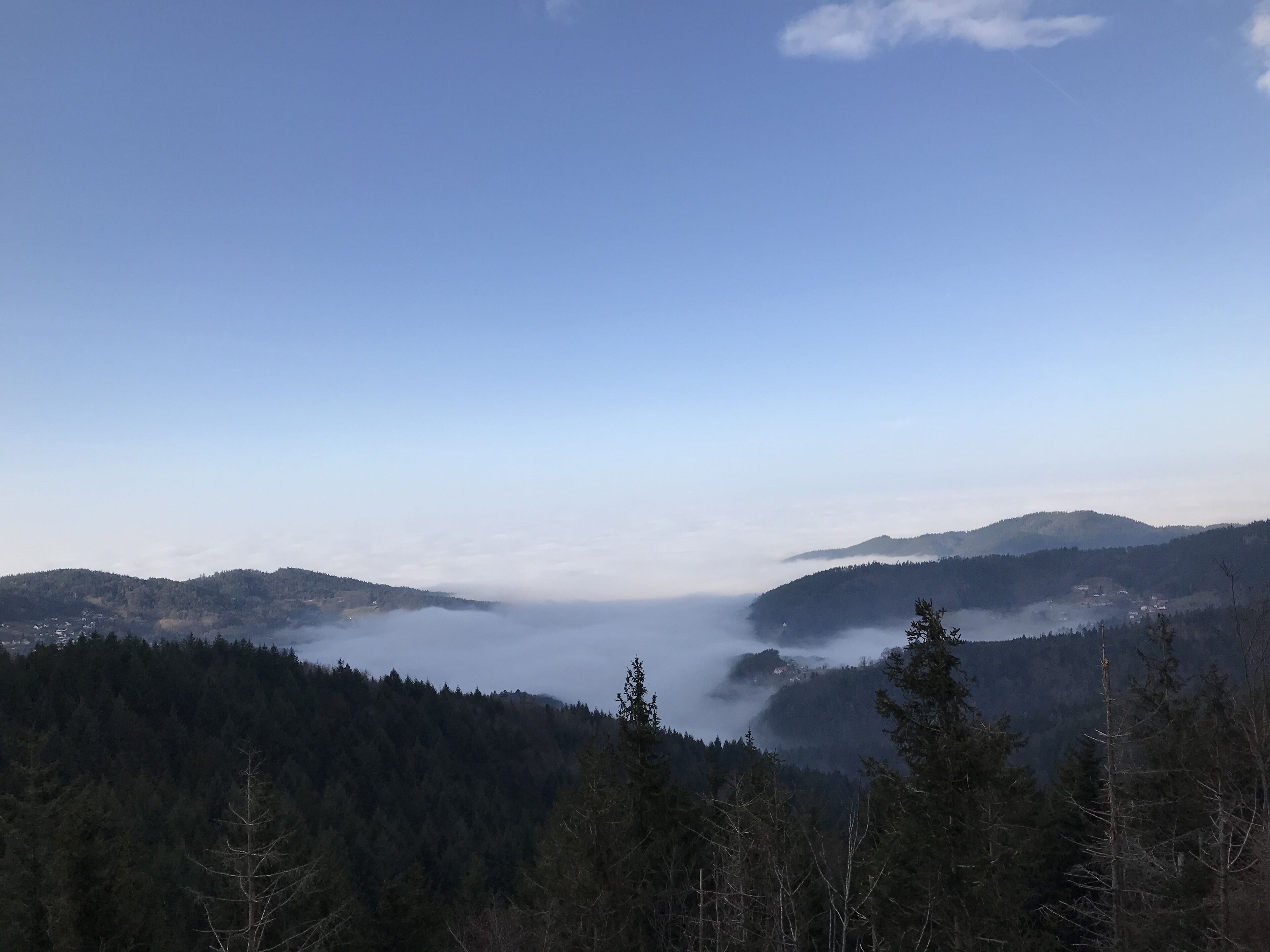 A mountainous landscape with dense forests and a valley shrouded in mist.