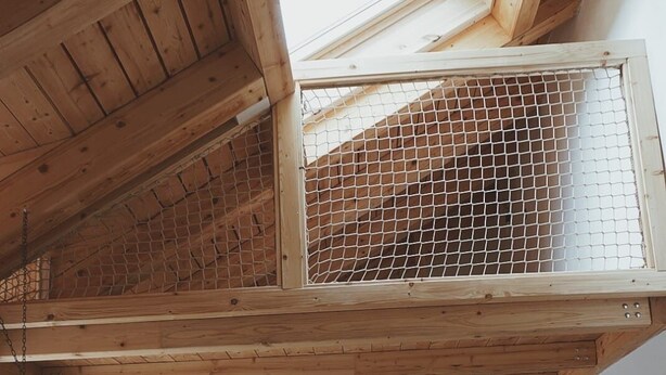 A loft-style room with a wooden ceiling, a skylight, and a netted window. - "Vacation cottage Plättig" (Bühlertal)