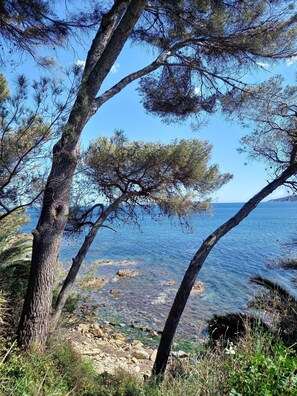 Miscellaneous - Gîte with private Jacuzzi in the heart of Provence Côte d'Azur (SAINT-ANTONIN-DU-VAR)