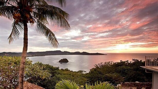 A tropical landscape with a view of the sea, a palm tree, and lush greenery.
