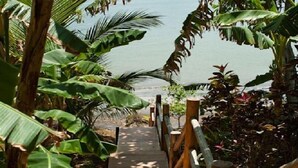 Un sendero de madera que conduce a una playa, rodeado de exuberante vegetación tropical.
