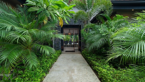 Un vialetto circondato da rigogliosa vegetazione tropicale conduce a un edificio con facciata in pietra e ingresso in vetro.