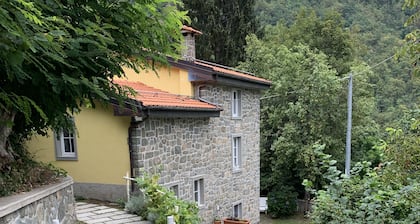 House surrounded by greenery: CĂ dell'Argentina