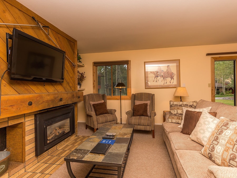 Apartment, 1 Queen-Bett und Schlafsofa | Wohnzimmer