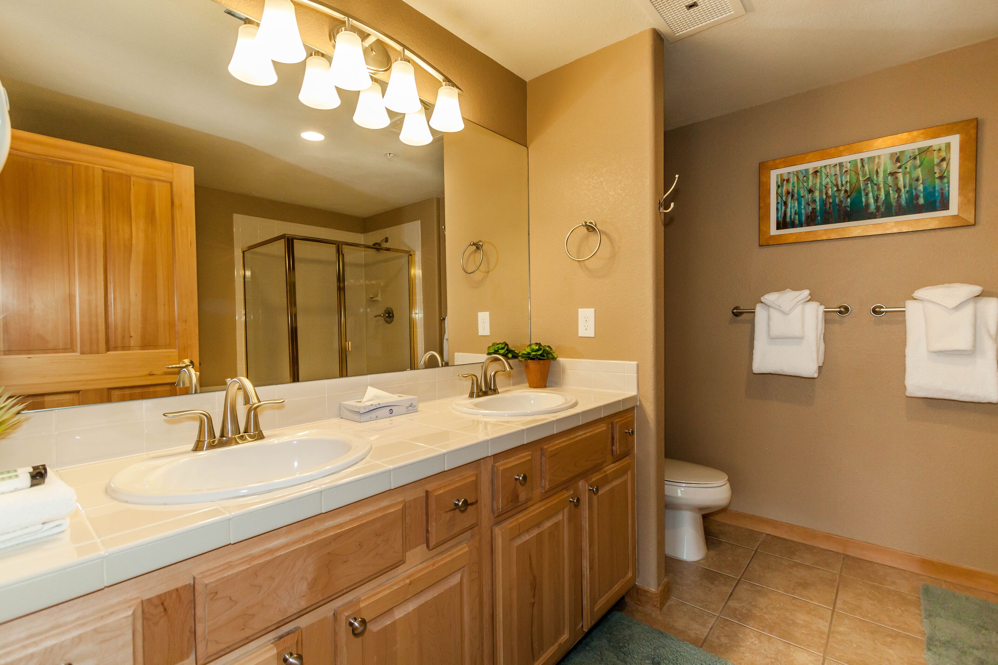 A modern bathroom with a double sink vanity, a glass shower enclosure, and a toilet.