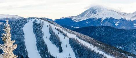 A snow-covered mountain with a ski slope and dense forest.