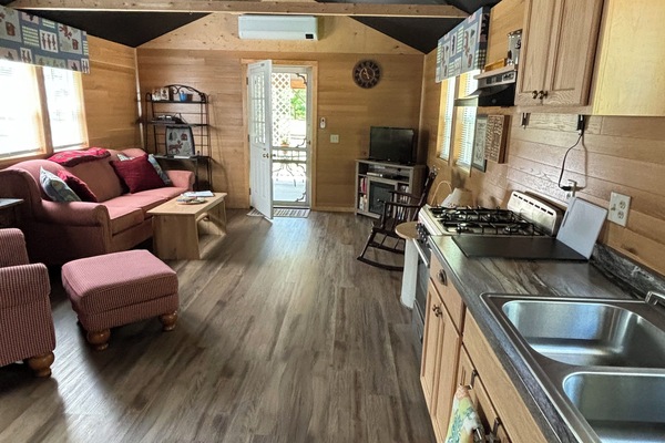 Smart TV, fireplace, DVD player, books