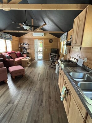 Smart TV, fireplace, DVD player, books