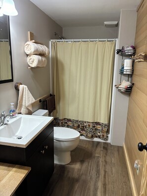 Shower, hair dryer, towels, soap