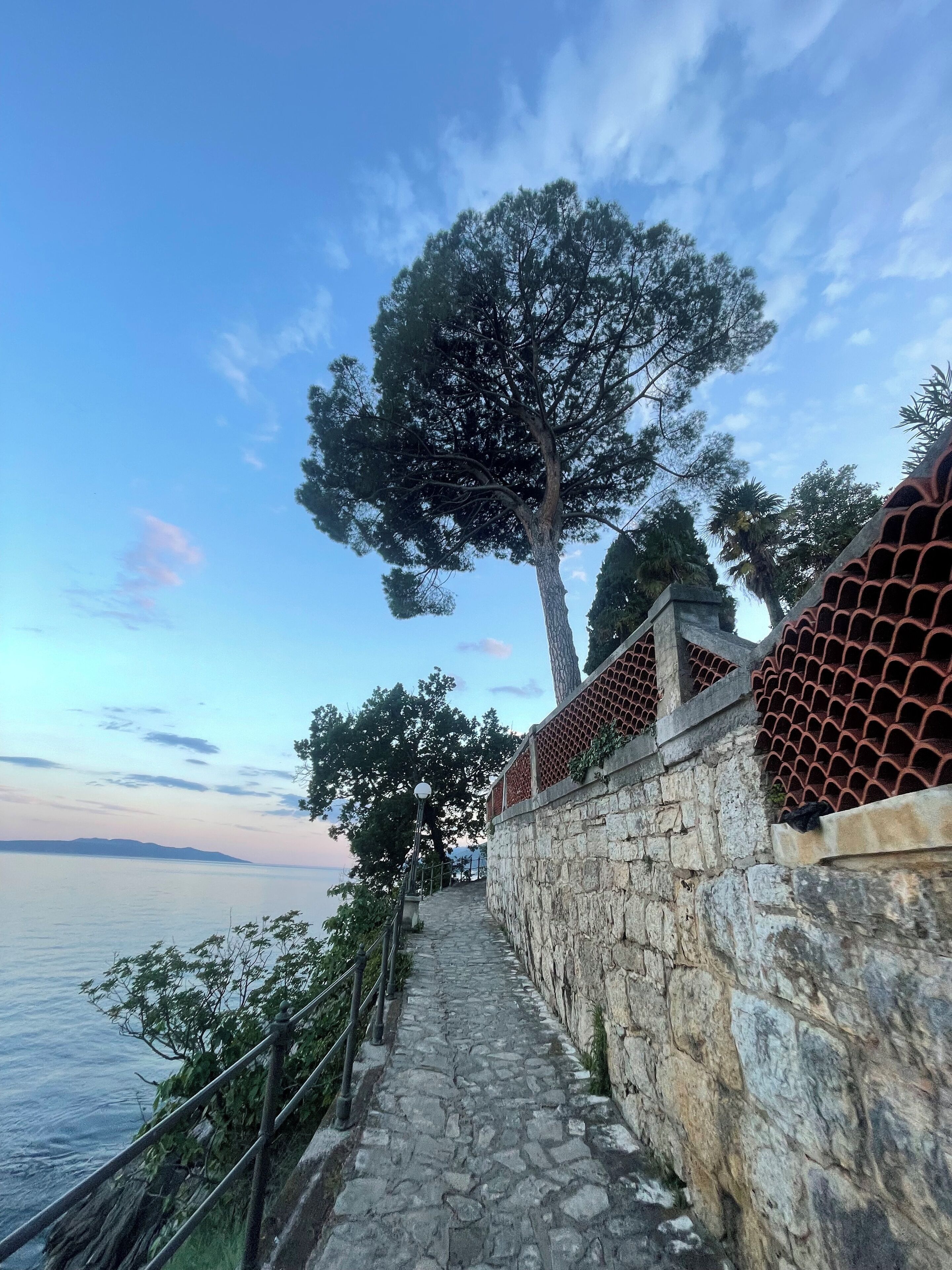 A stone pathway leading to a coastal area with a large tree and a view of the sea.