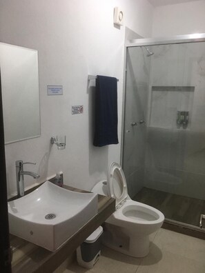 Regadera, toallas, jabón, shampoo 
