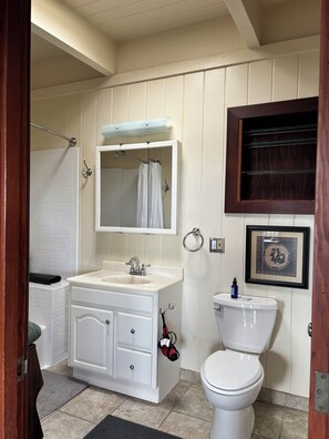 Duschwanne, Haartrockner, Handtücher, Seife