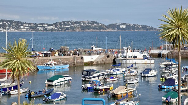 A marina with various boats docked, a pier, and a hillside in the background.