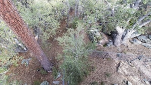 A forested area with a large tree trunk, a rocky ground, and a wooden fence. - Treetop Getaway in the Ponderosa Pines (Idyllwild-Pine Cove)