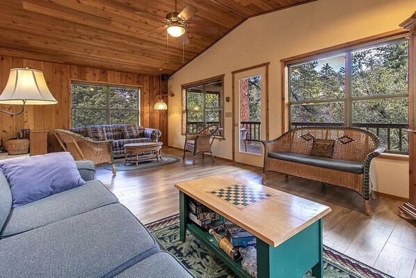 Smart TV, fireplace, DVD player, video library