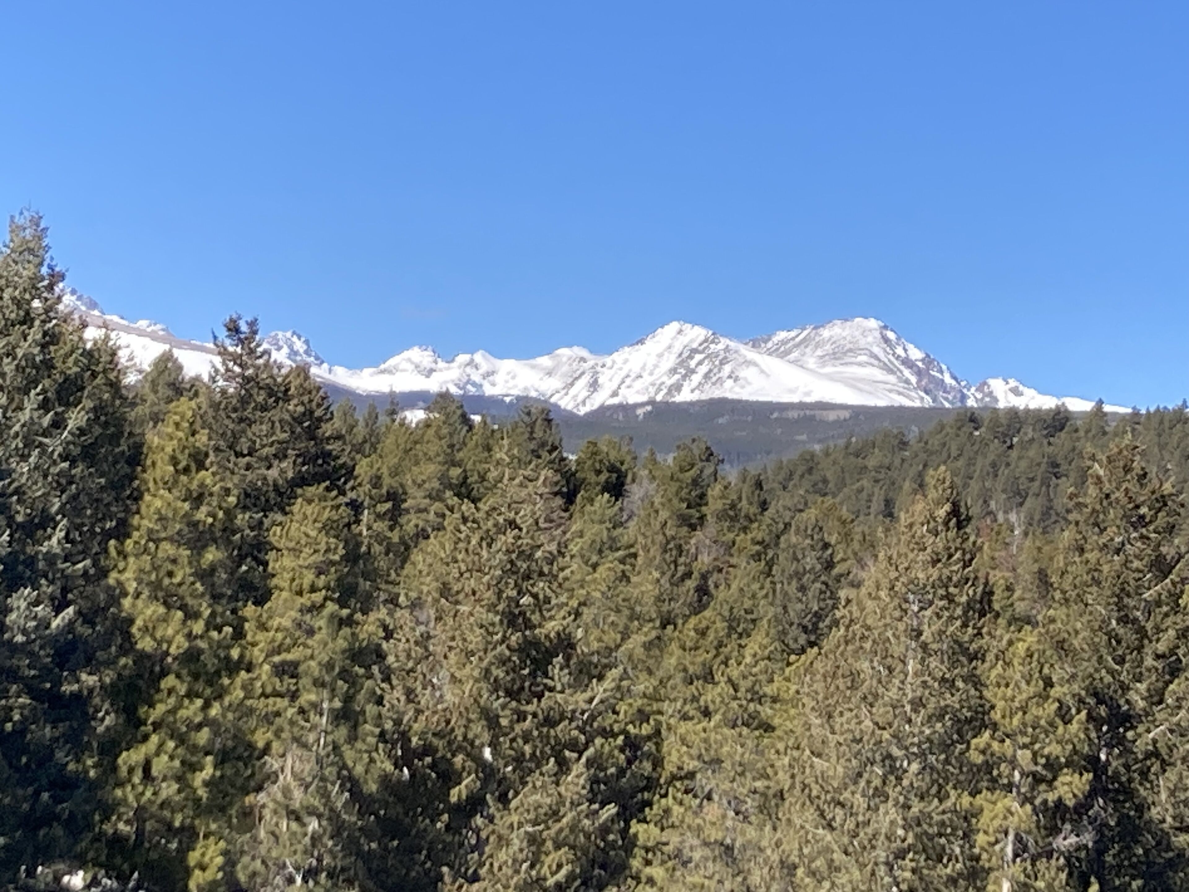 A mountain range with snow-capped peaks and dense forest in the foreground.